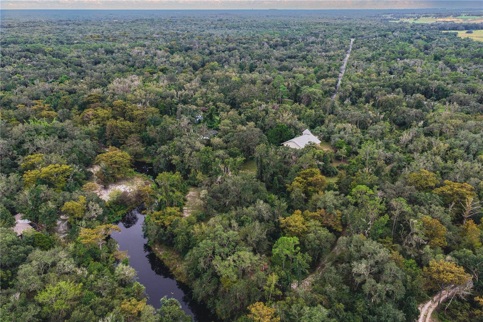 Withlacoochee River abuts the property. Roof top pictured is the subject property.