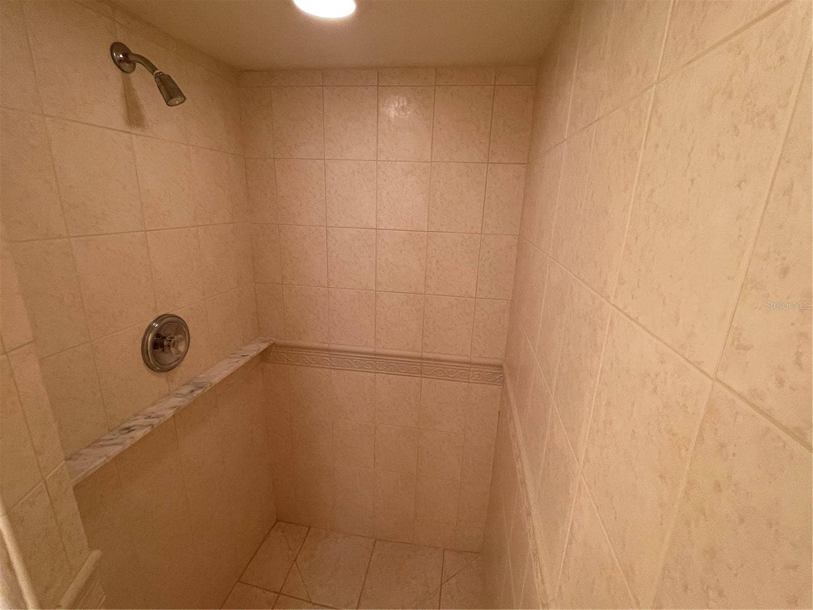 Shower in guest bathroom