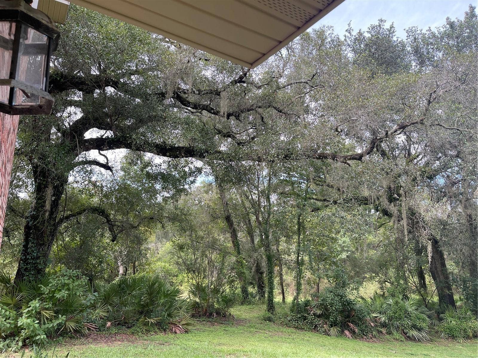 5422 CYRIL DRIVE, Dade City, FL 33523