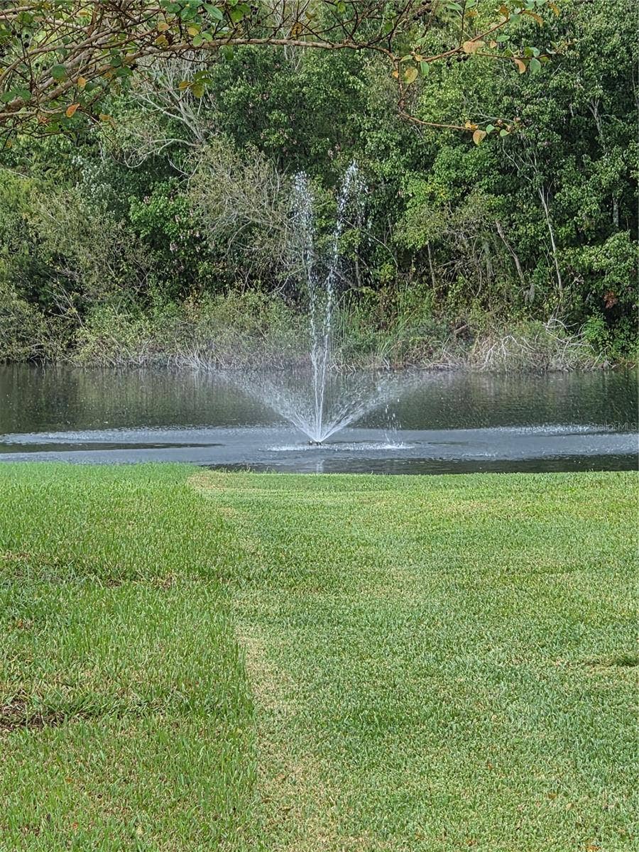 16802 HARLEY STREET, Hudson, FL 34667 BEAUTIFUL COMMUNITY
