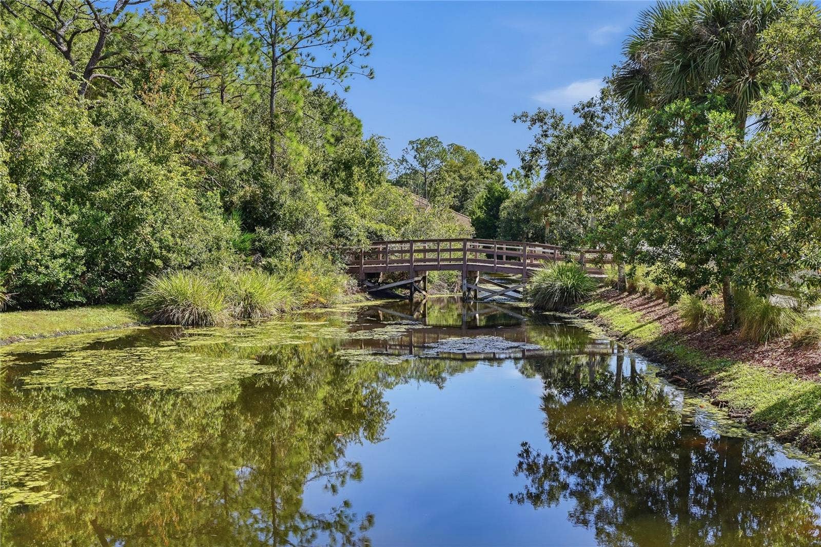 Board Walk - Trail