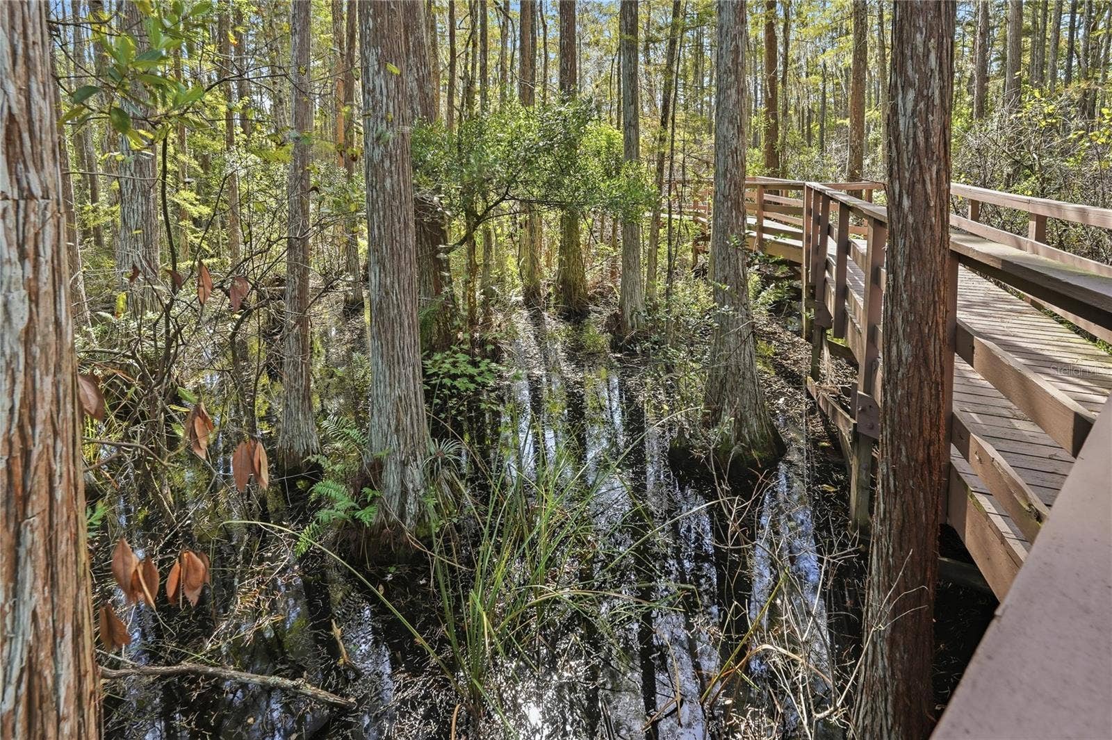 Board Walk - Trail