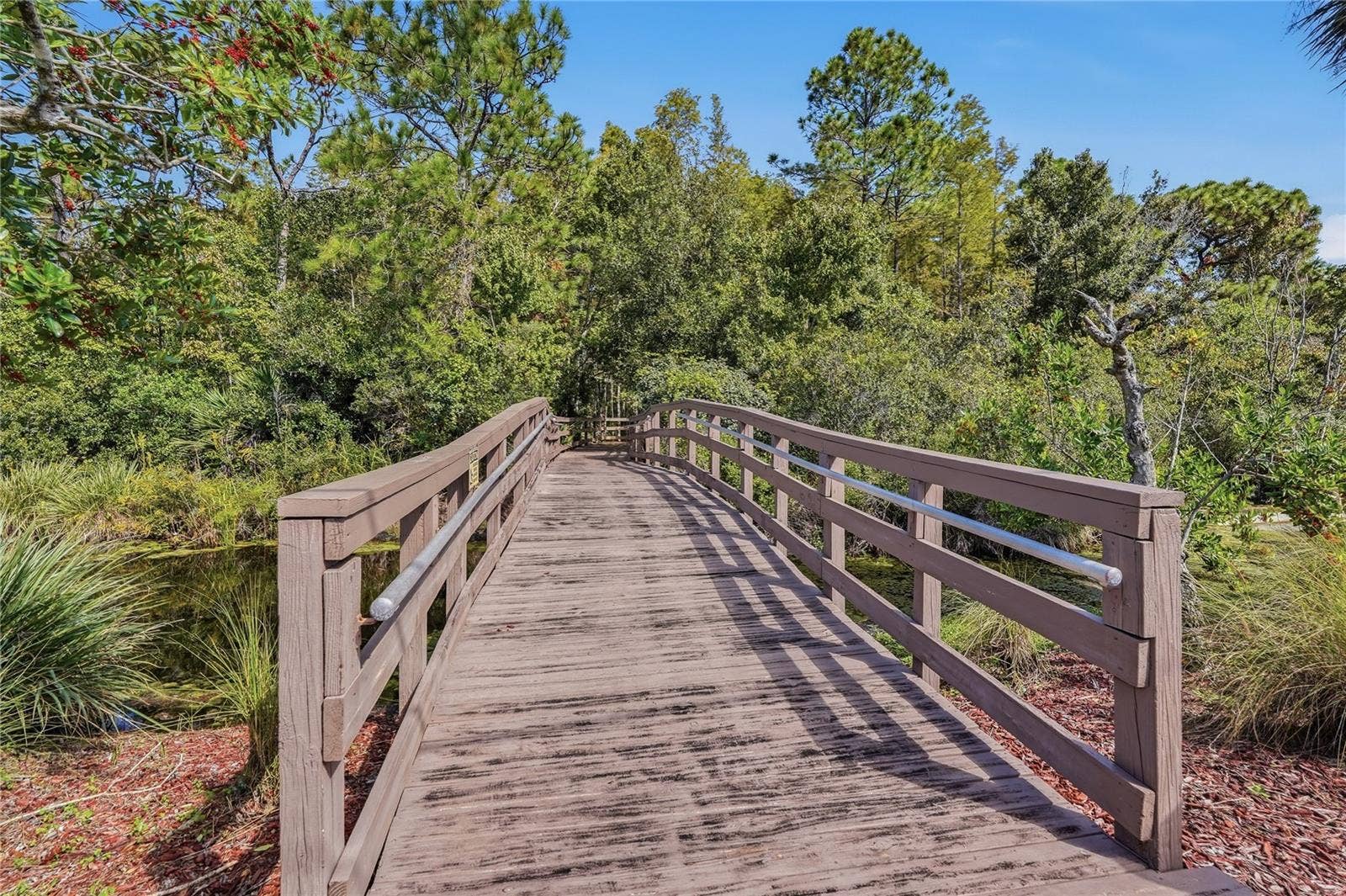 Board Walk - Trail