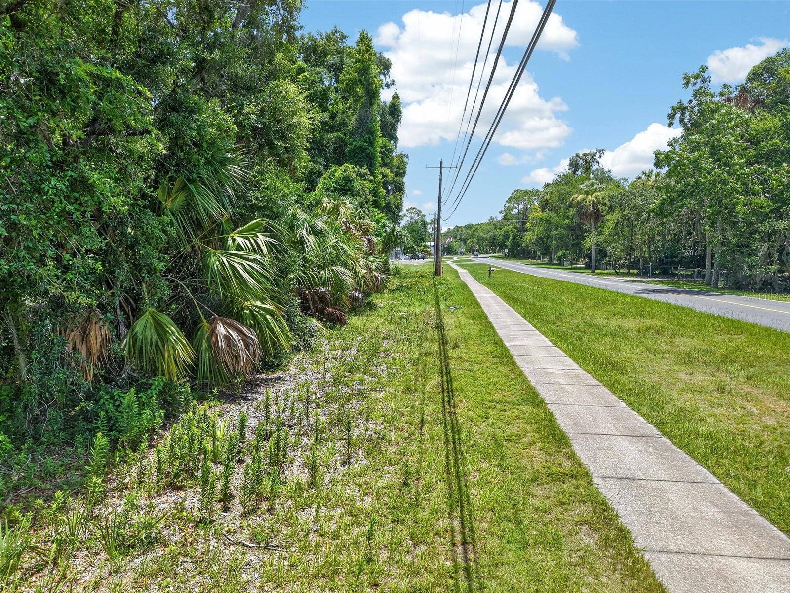 HWY 40, Inglis, FL 34449 HWY 40, Inglis, FL 34449