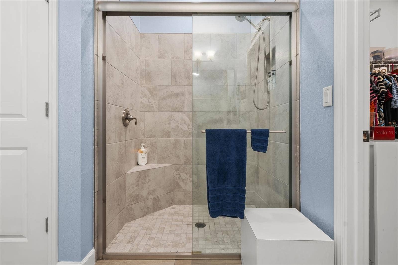 31687 CABANA RYE AVENUE, San Antonio, FL 33576 31687 CABANA RYE AVENUE, San Antonio, FL 33576