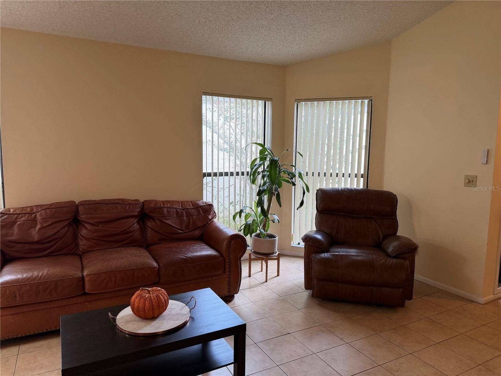 13811 LAZY OAK DRIVE, #21, Tampa, FL 33613 Living Room
