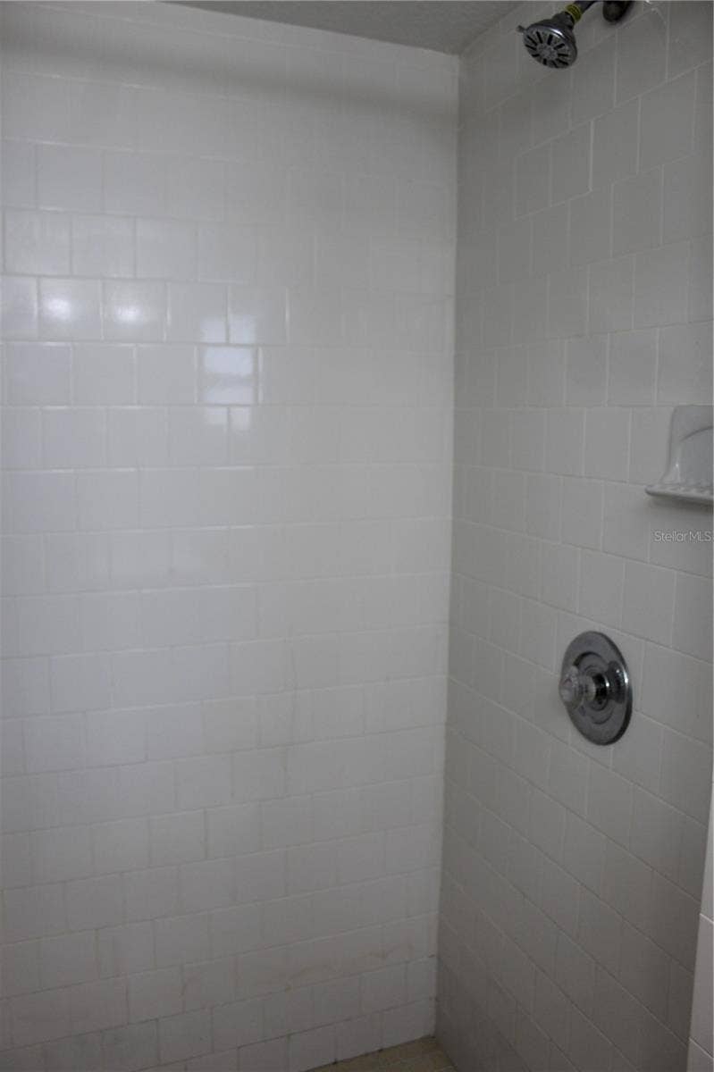 4424 TERRY LOOP, #B, New Port Richey, FL 34652 Shower