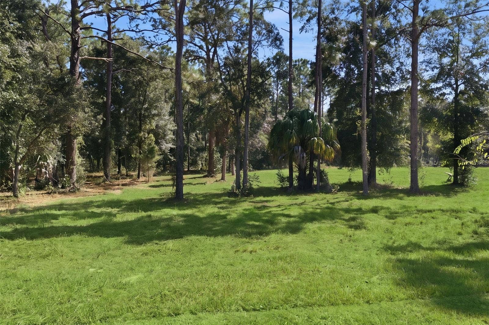 14356 HIGHGROVE ROAD, Spring Hill, FL 34609