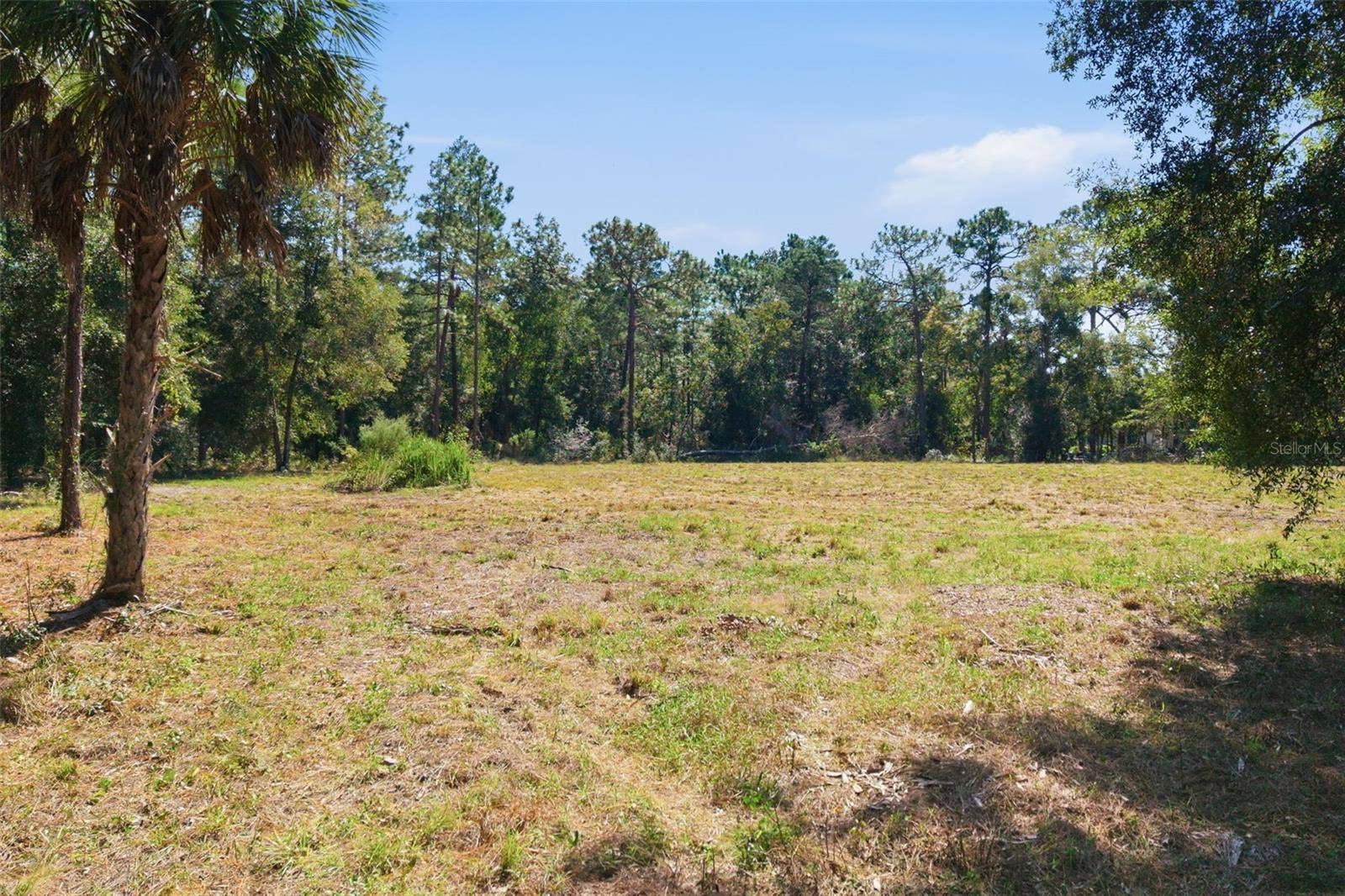 14356 HIGHGROVE ROAD, Spring Hill, FL 34609