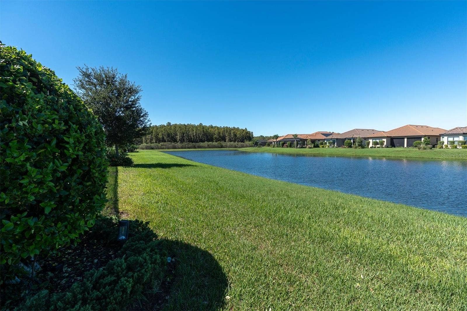 11149 EGERIA DRIVE, Odessa, FL 33556 11149 EGERIA DRIVE, Odessa, FL 33556