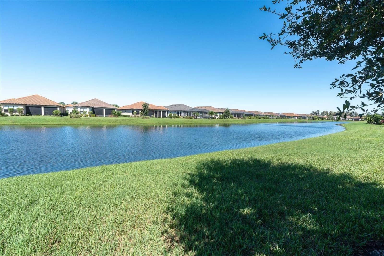 11149 EGERIA DRIVE, Odessa, FL 33556 11149 EGERIA DRIVE, Odessa, FL 33556