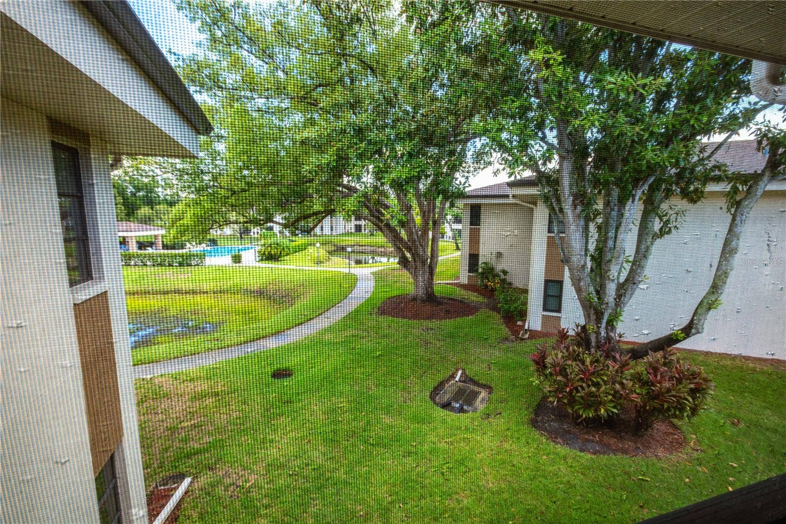 2700 NEBRASKA AVENUE, #2-205, Palm Harbor, FL 34684
