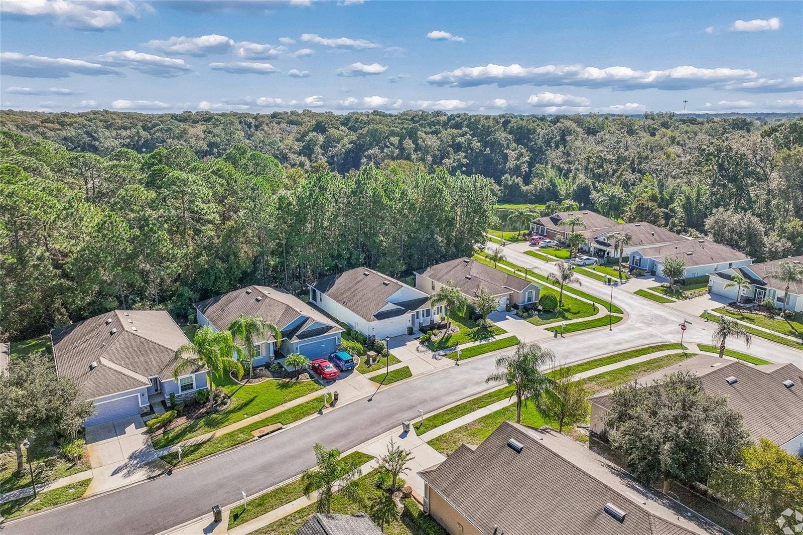 11030 PARADISE POINT WAY, New Port Richey, FL 34654 11030 PARADISE POINT WAY, New Port Richey, FL 34654
