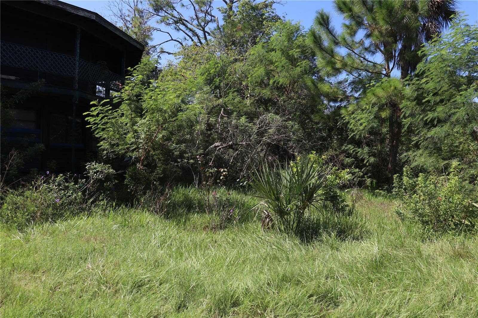 10501 PINE ISLAND DRIVE, Weeki Wachee, FL 34607
