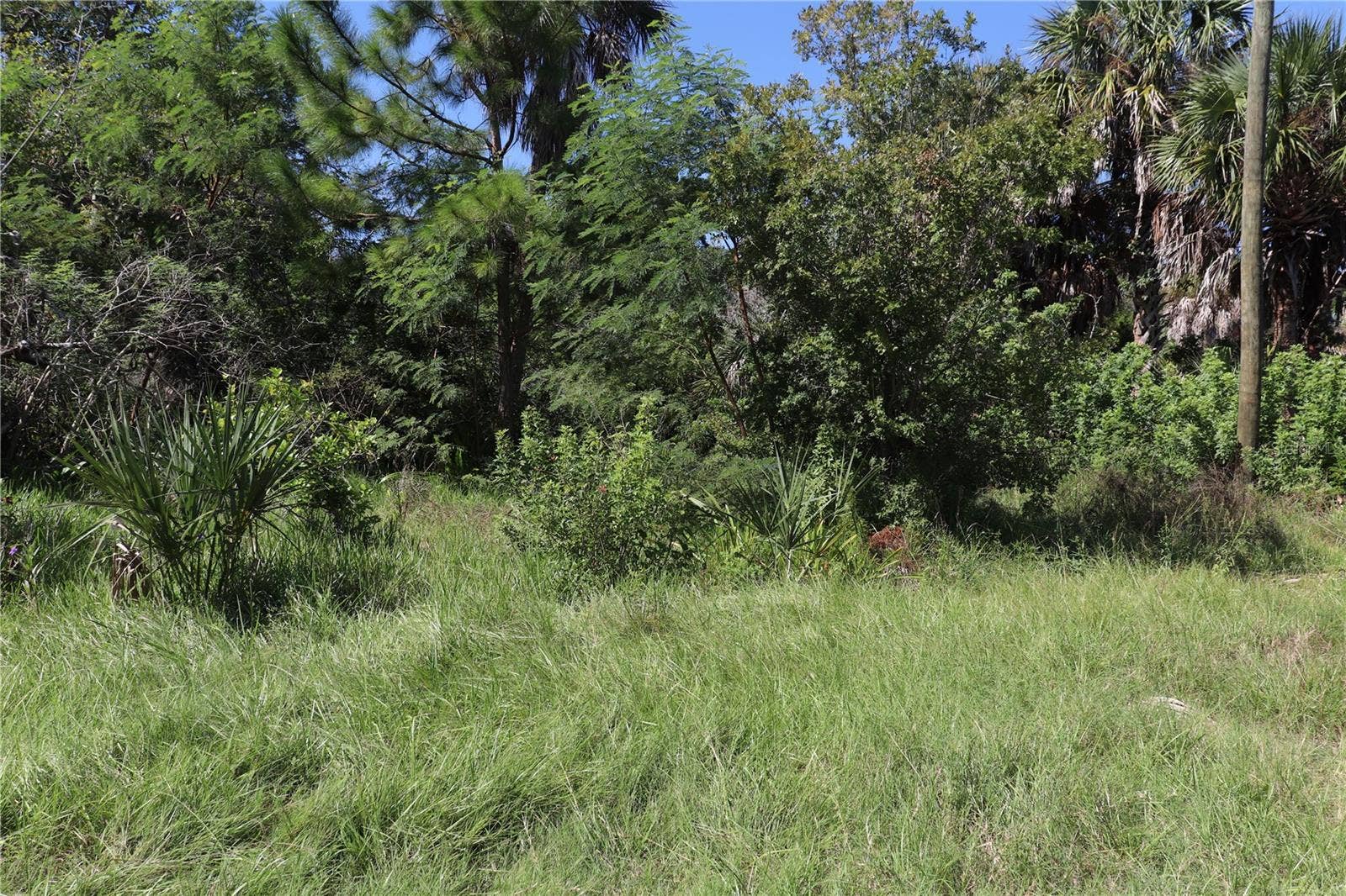 10501 PINE ISLAND DRIVE, Weeki Wachee, FL 34607