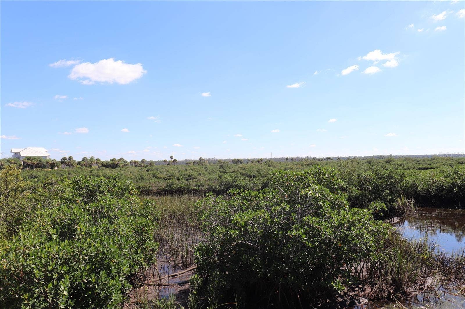 10501 PINE ISLAND DRIVE, Weeki Wachee, FL 34607