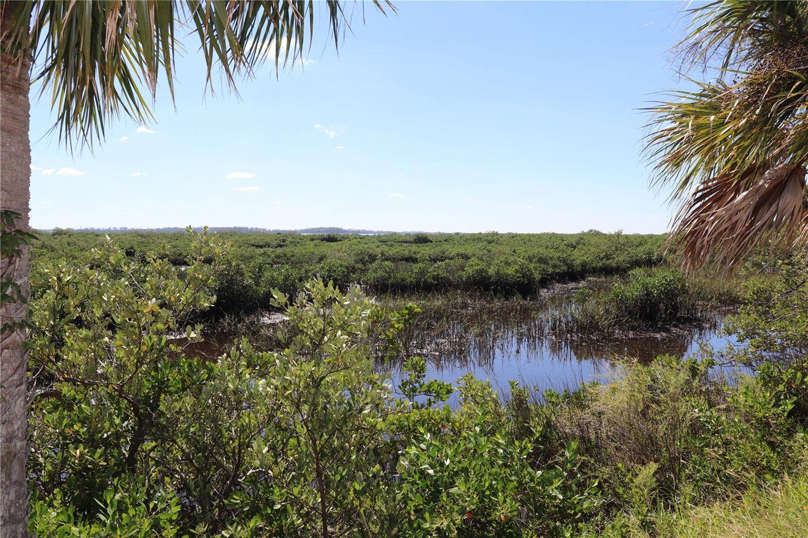 10501 PINE ISLAND DRIVE, Weeki Wachee, FL 34607