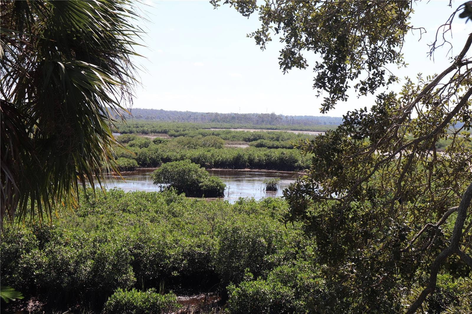 10501 PINE ISLAND DRIVE, Weeki Wachee, FL 34607