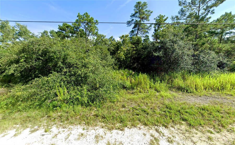 Property photo for 7301 BAHAMA SWALLOW AVENUE, Weeki Wachee, FL