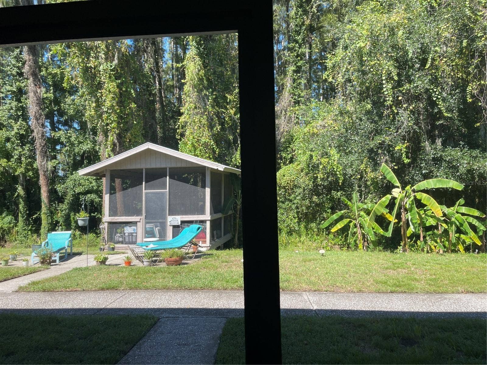 20893 HAULOVER COVE, #5, Lutz, FL 33558