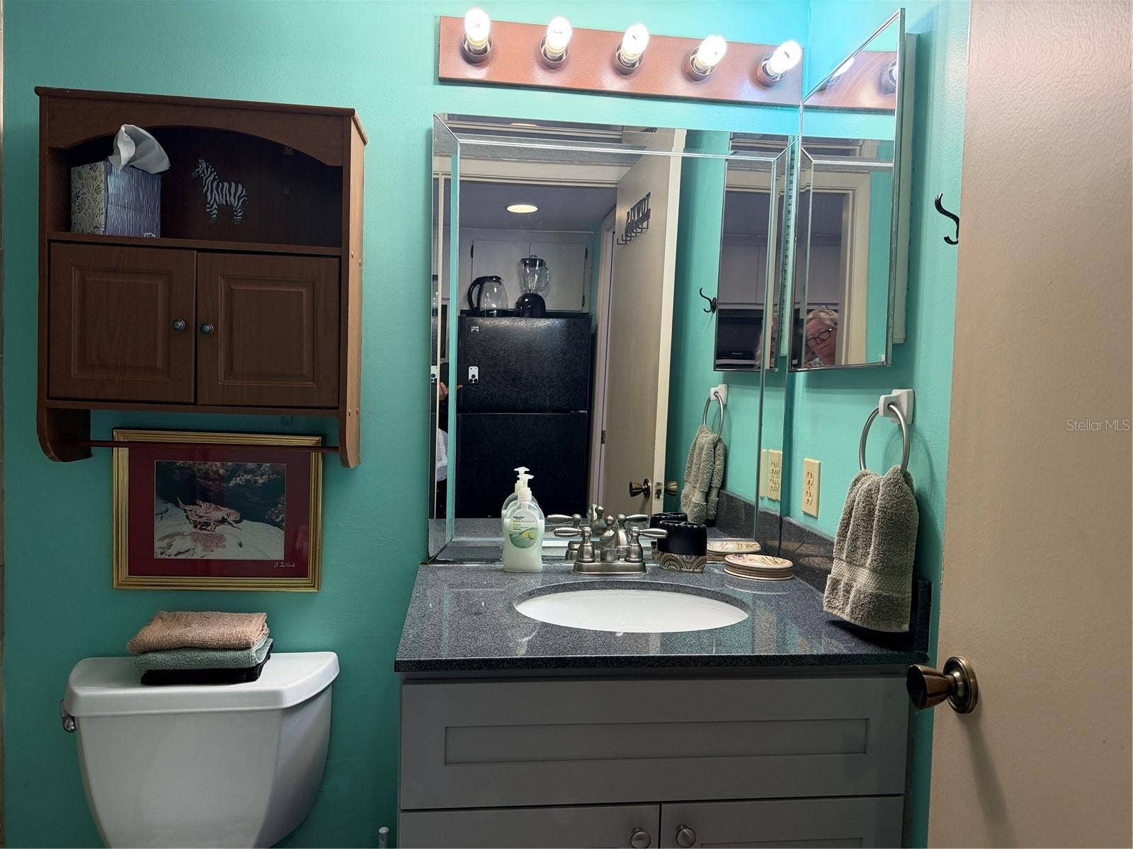 20893 HAULOVER COVE, #5, Lutz, FL 33558