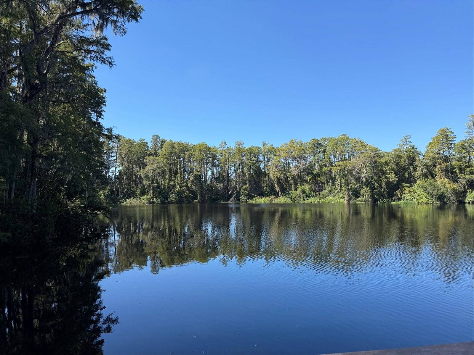20893 HAULOVER COVE, #5, Lutz, FL 33558