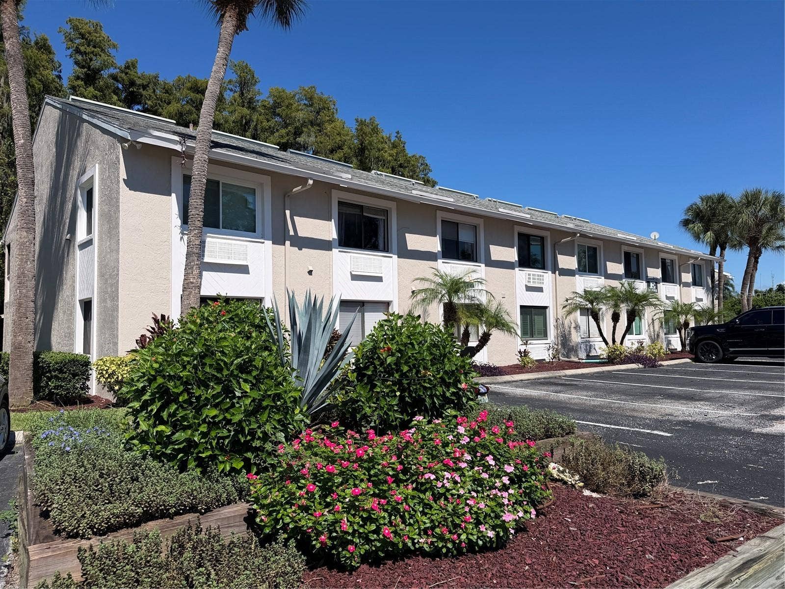 20893 HAULOVER COVE, #5, Lutz, FL 33558