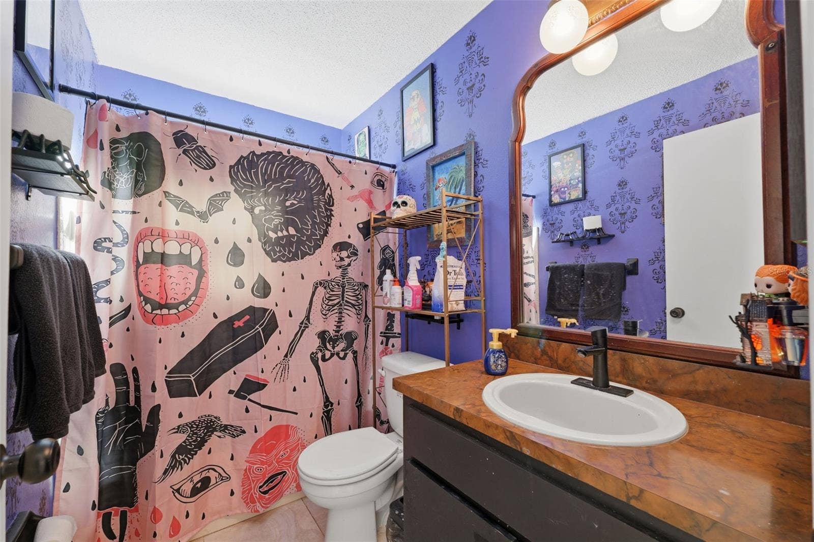 10048 AMIDON STREET, Spring Hill, FL 34608 Bathroom 2