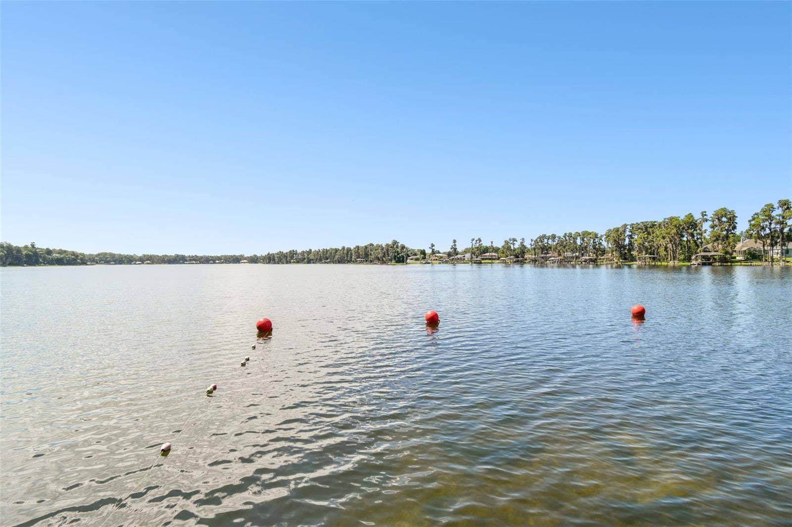 1922 BEACHWAY LANE, Odessa, FL 33556 1922 BEACHWAY LANE, Odessa, FL 33556