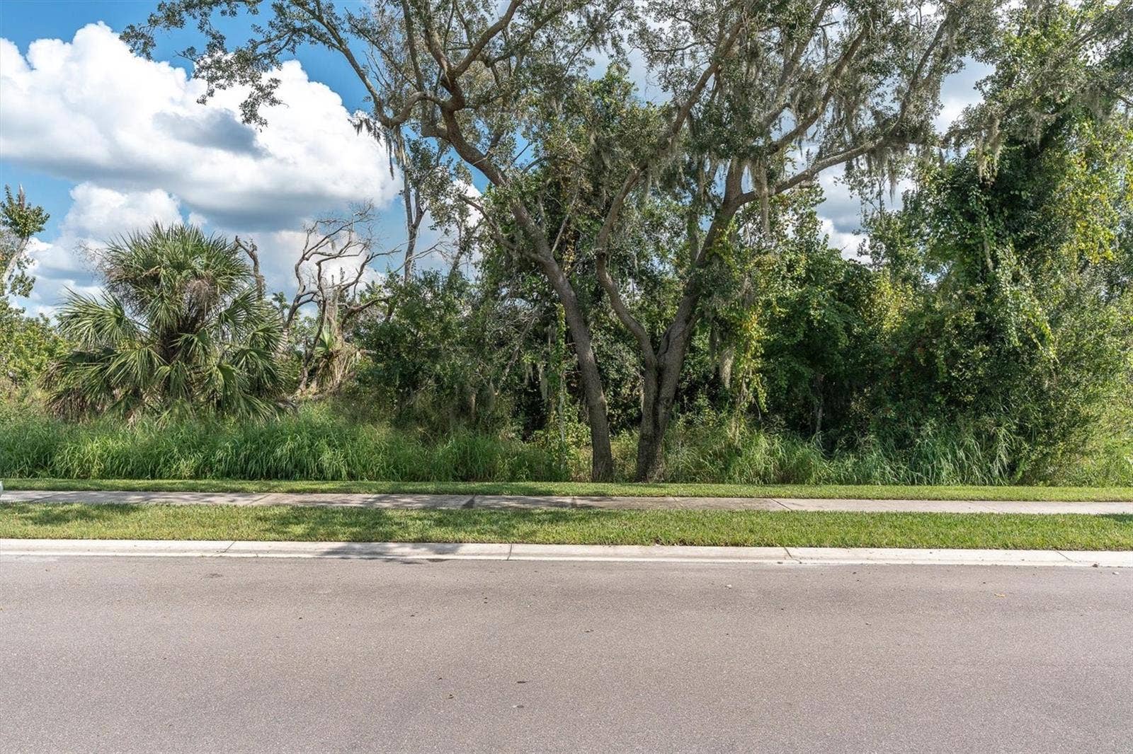 9921 PLUM RIVER DRIVE, Parrish, FL 34219 Conservation view from front of the door