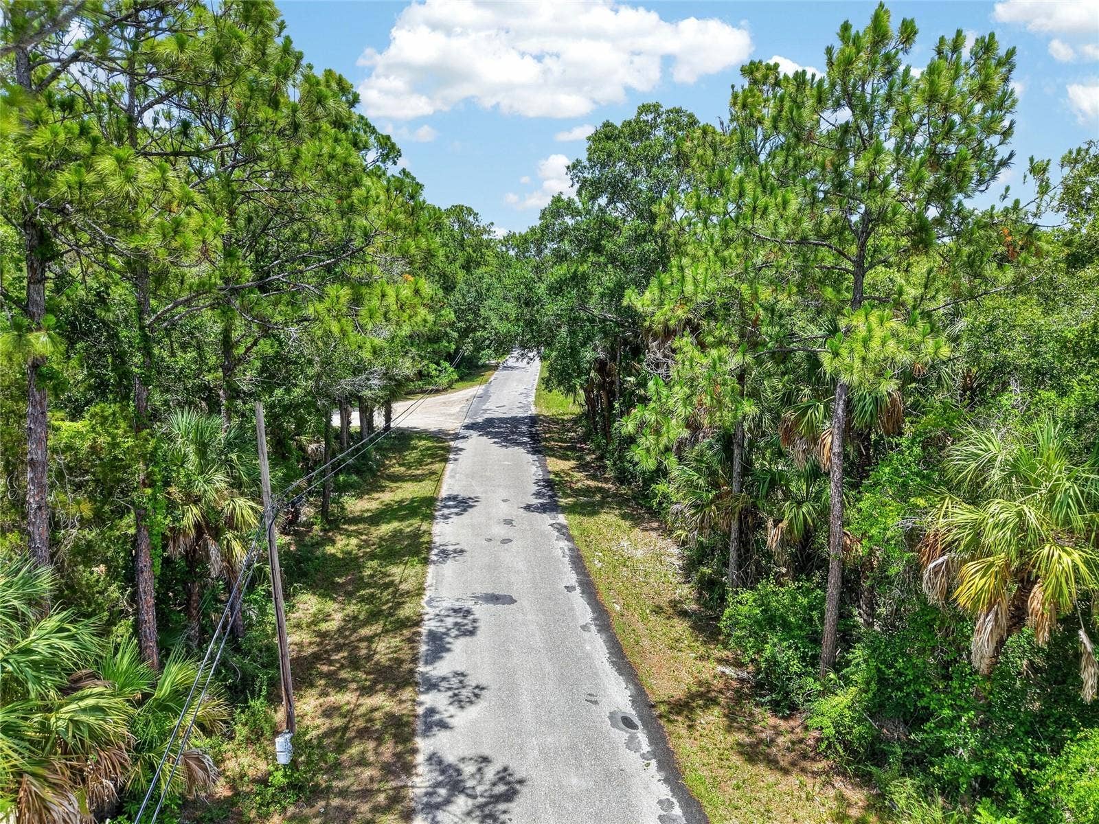 SE BUTLER ROAD, Inglis, FL 34449