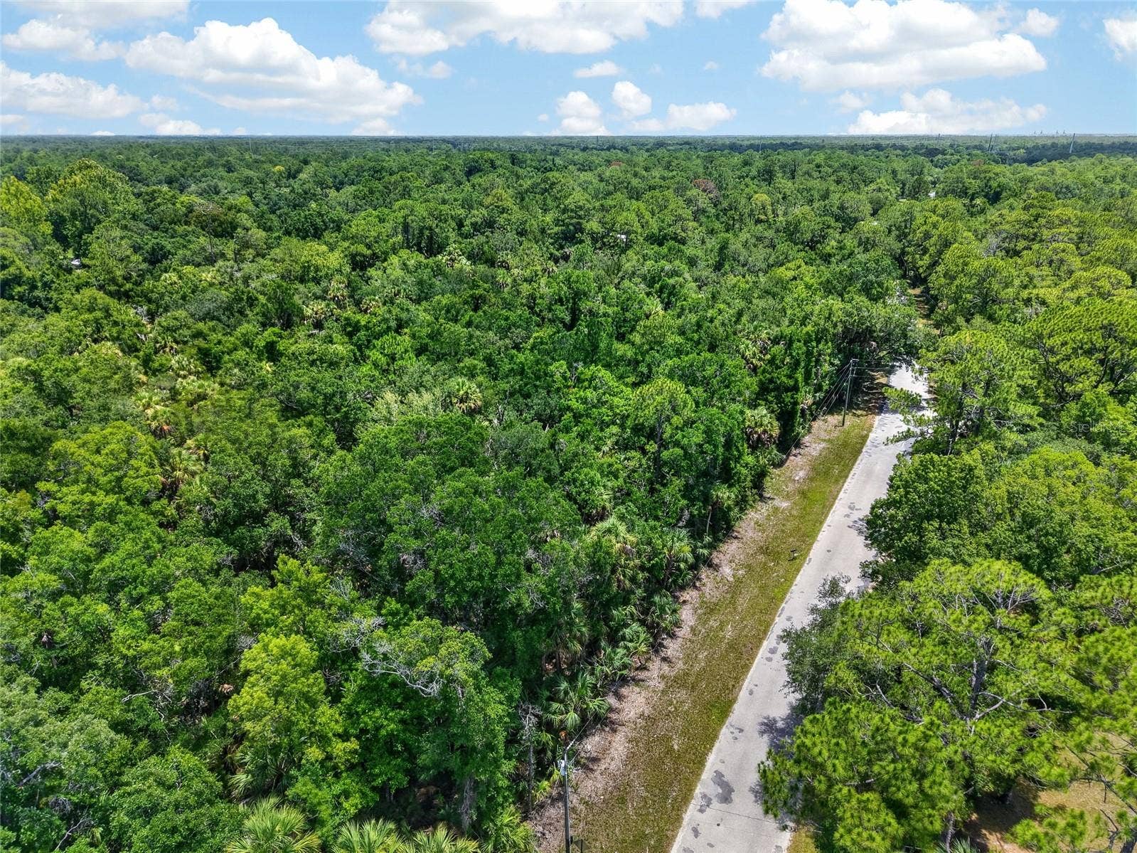 SE BUTLER ROAD, Inglis, FL 34449