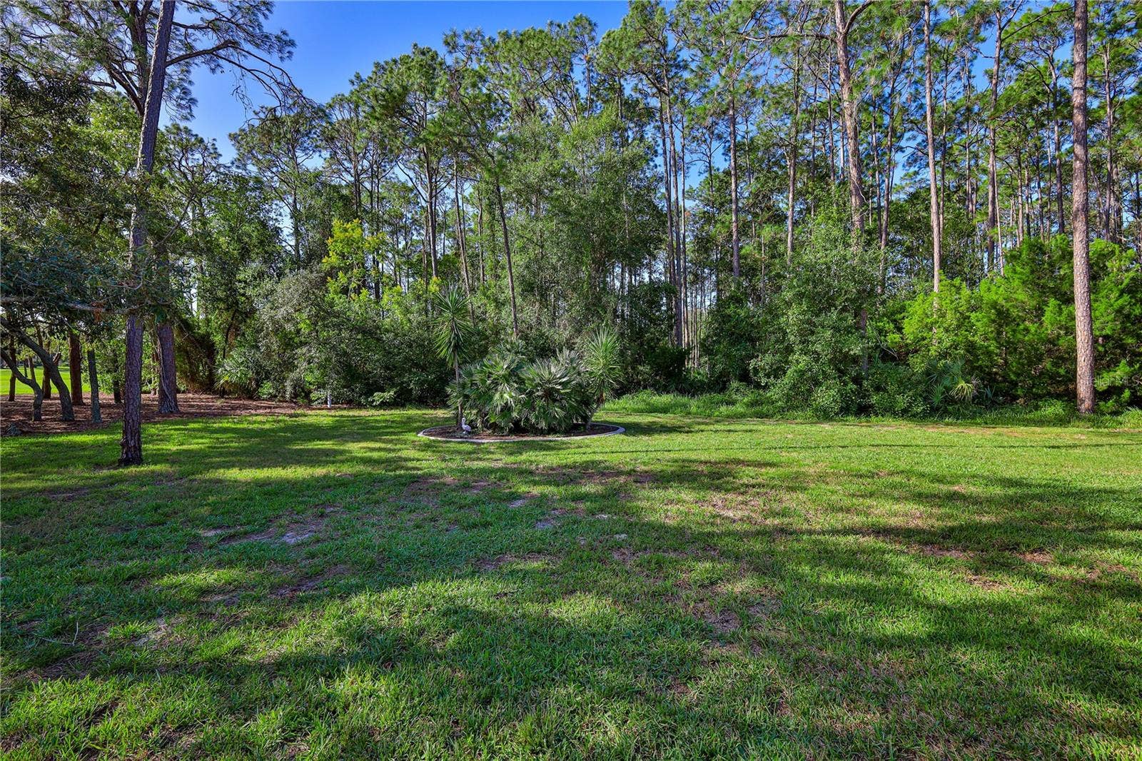 6318 DARIEN WAY, Spring Hill, FL 34606 6318 DARIEN WAY, Spring Hill, FL 34606