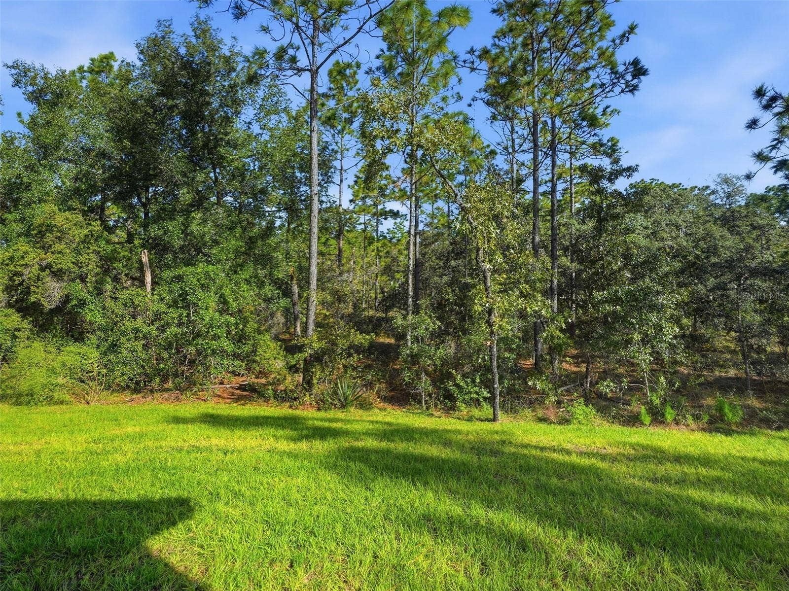 13193 BARNEVELDE ROAD, Weeki Wachee, FL 34614 13193 BARNEVELDE ROAD, Weeki Wachee, FL 34614