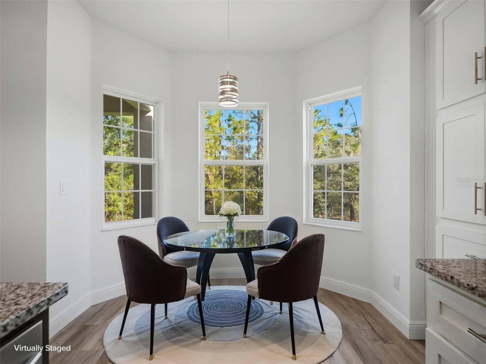 13193 BARNEVELDE ROAD, Weeki Wachee, FL 34614 virtually staged
