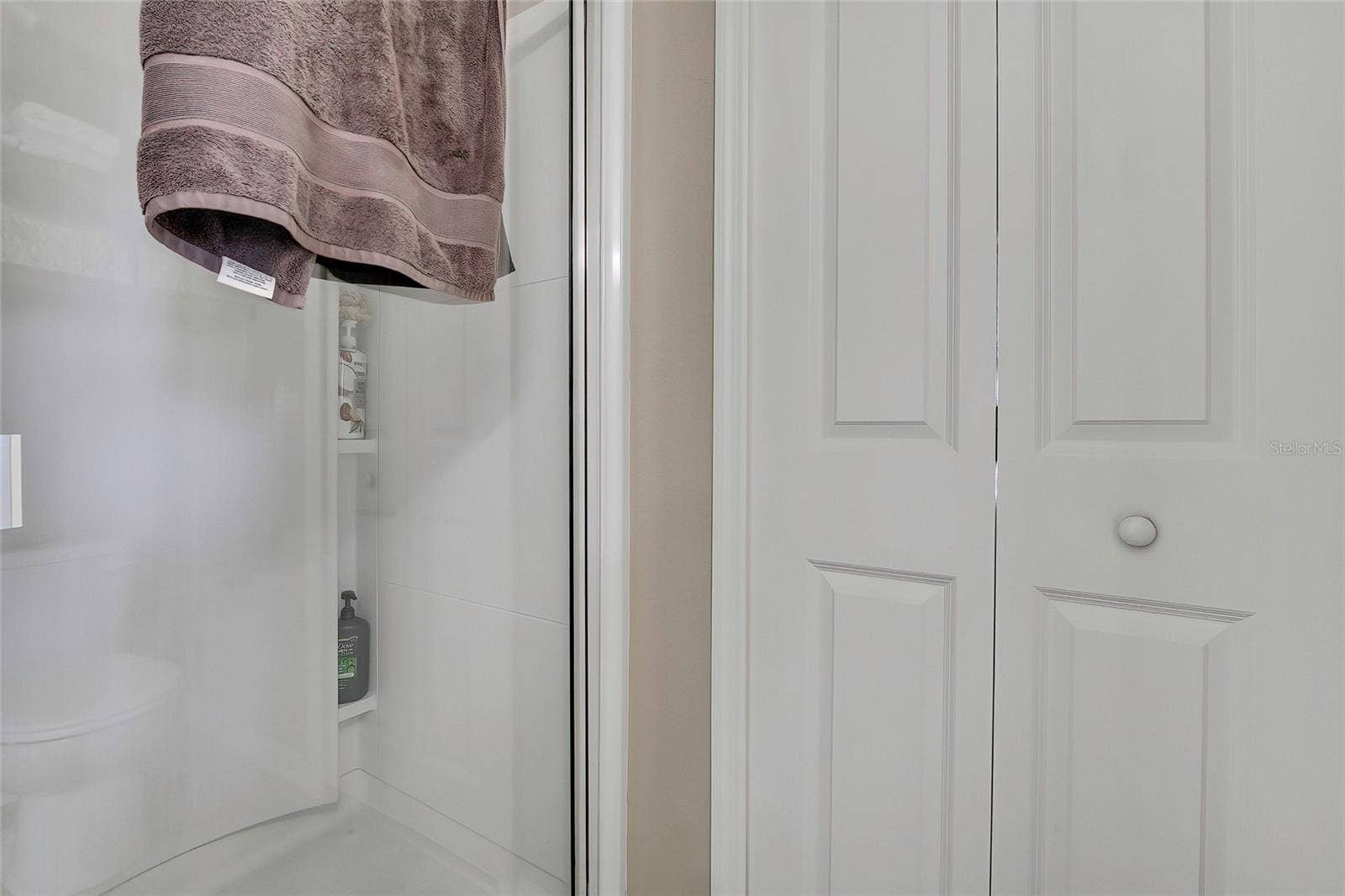 4166 SAND RIDGE BOULEVARD, Spring Hill, FL 34609 Master Bath