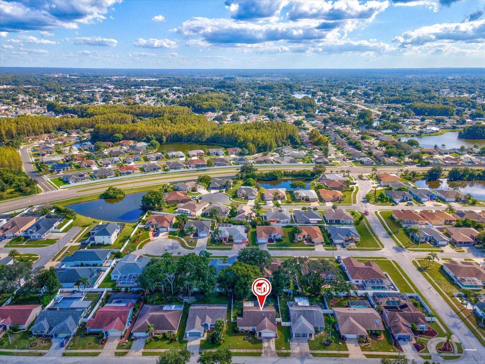 8350 ROYAL HART DRIVE, New Port Richey, FL 34653 8350 ROYAL HART DRIVE, New Port Richey, FL 34653