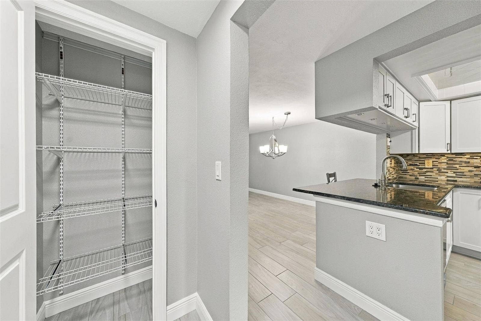 4219 STRATFORD DRIVE, #4219, New Port Richey, FL 34652 Hallway storage closet