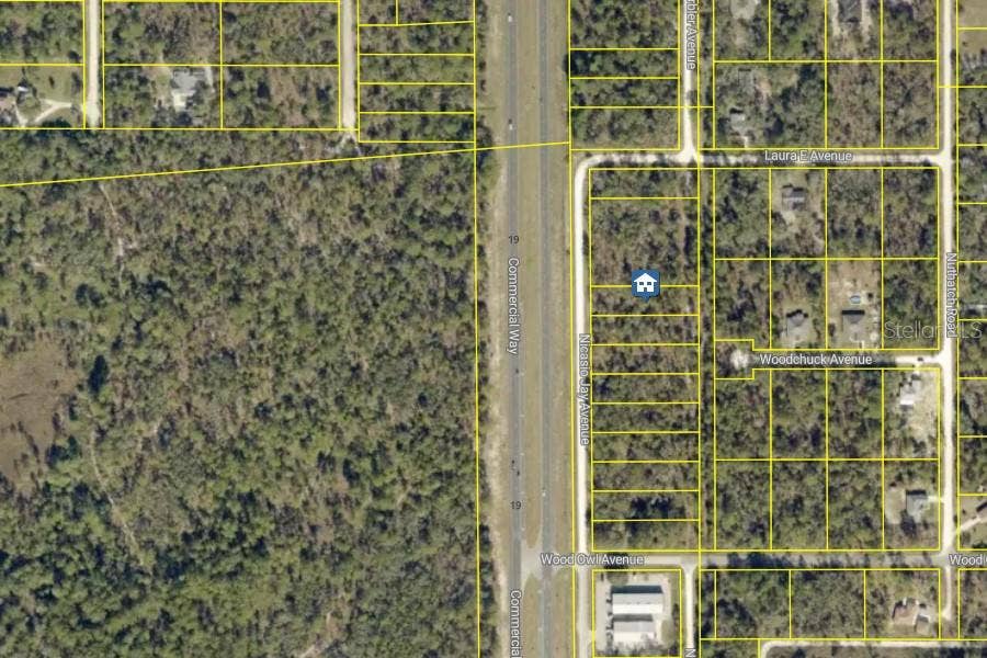 LOT 5 NICASIO JAY AVENUE, Weeki Wachee, FL 34614 LOT 5 NICASIO JAY AVENUE, Weeki Wachee, FL 34614