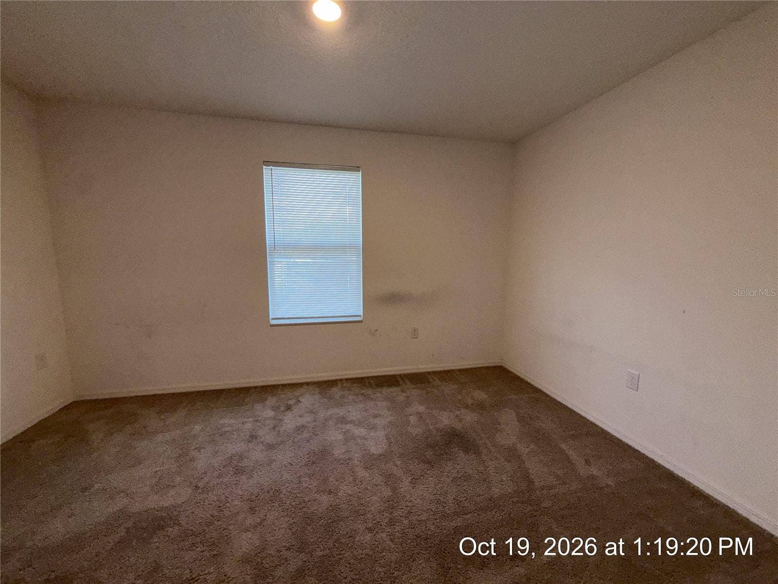 14313 CORALBEAN COURT, Brooksville, FL 34613 14313 CORALBEAN COURT, Brooksville, FL 34613