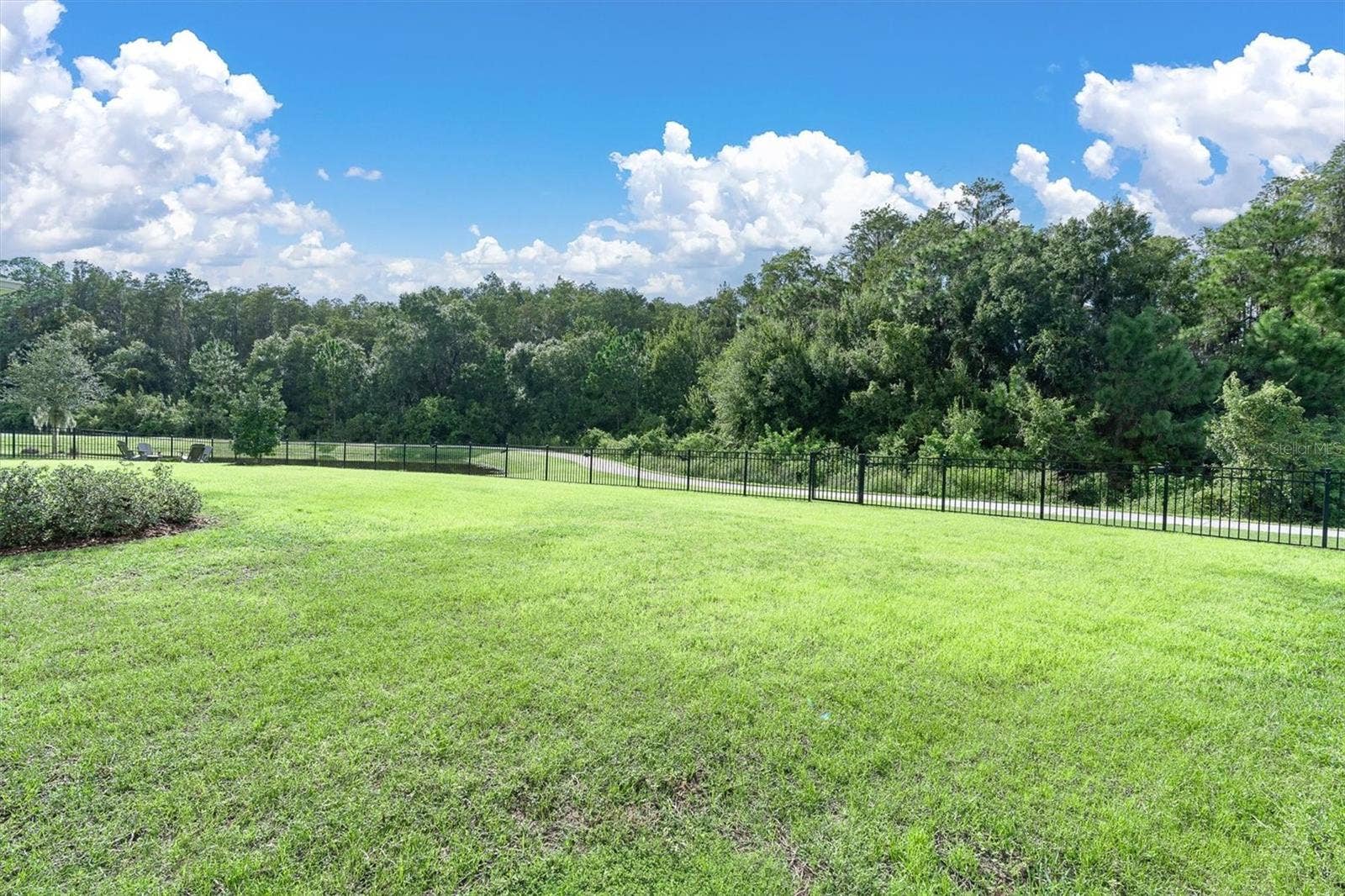 Expansive Fenced Lawn Area