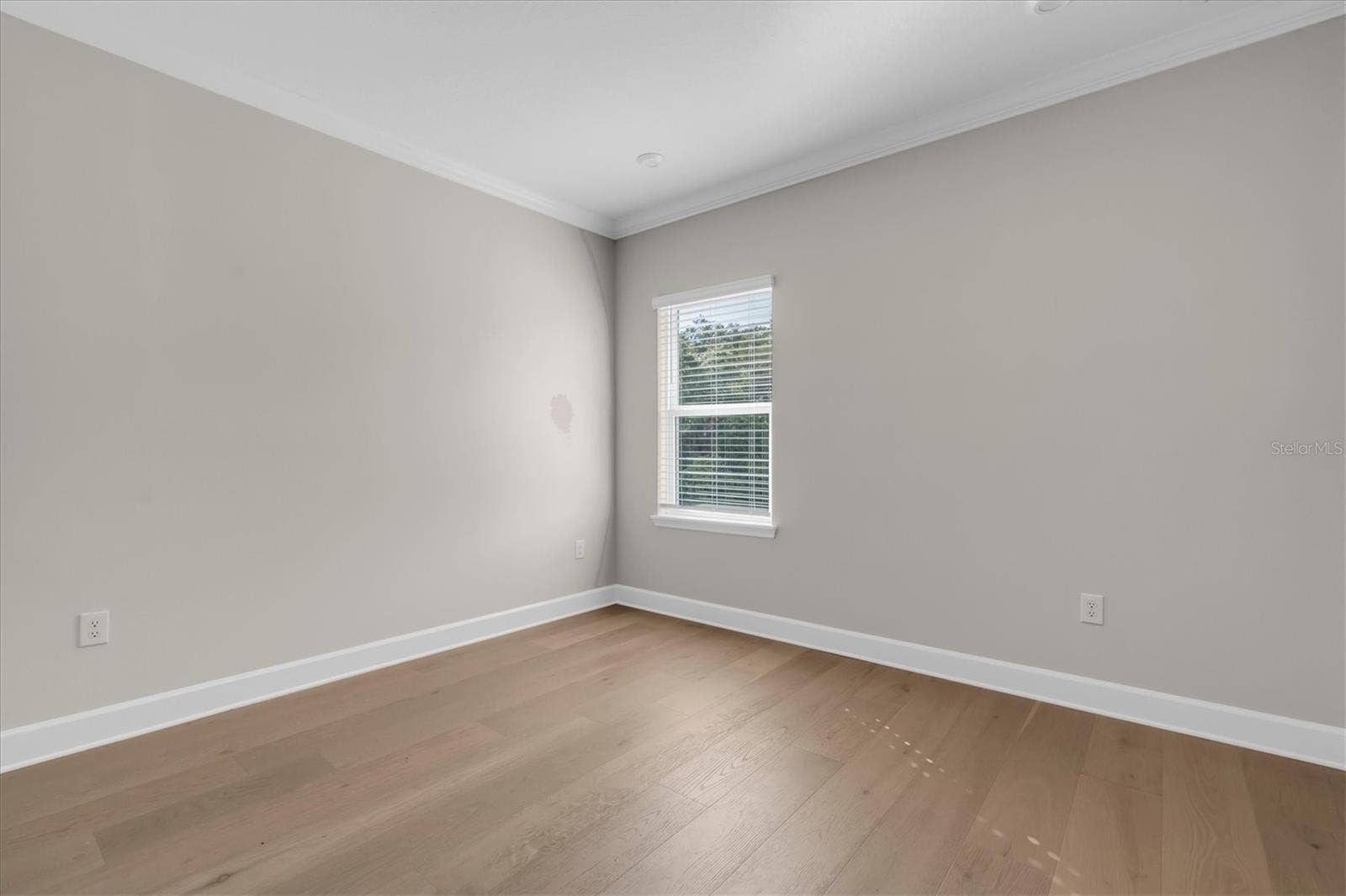 Sunlit Bedroom Space View