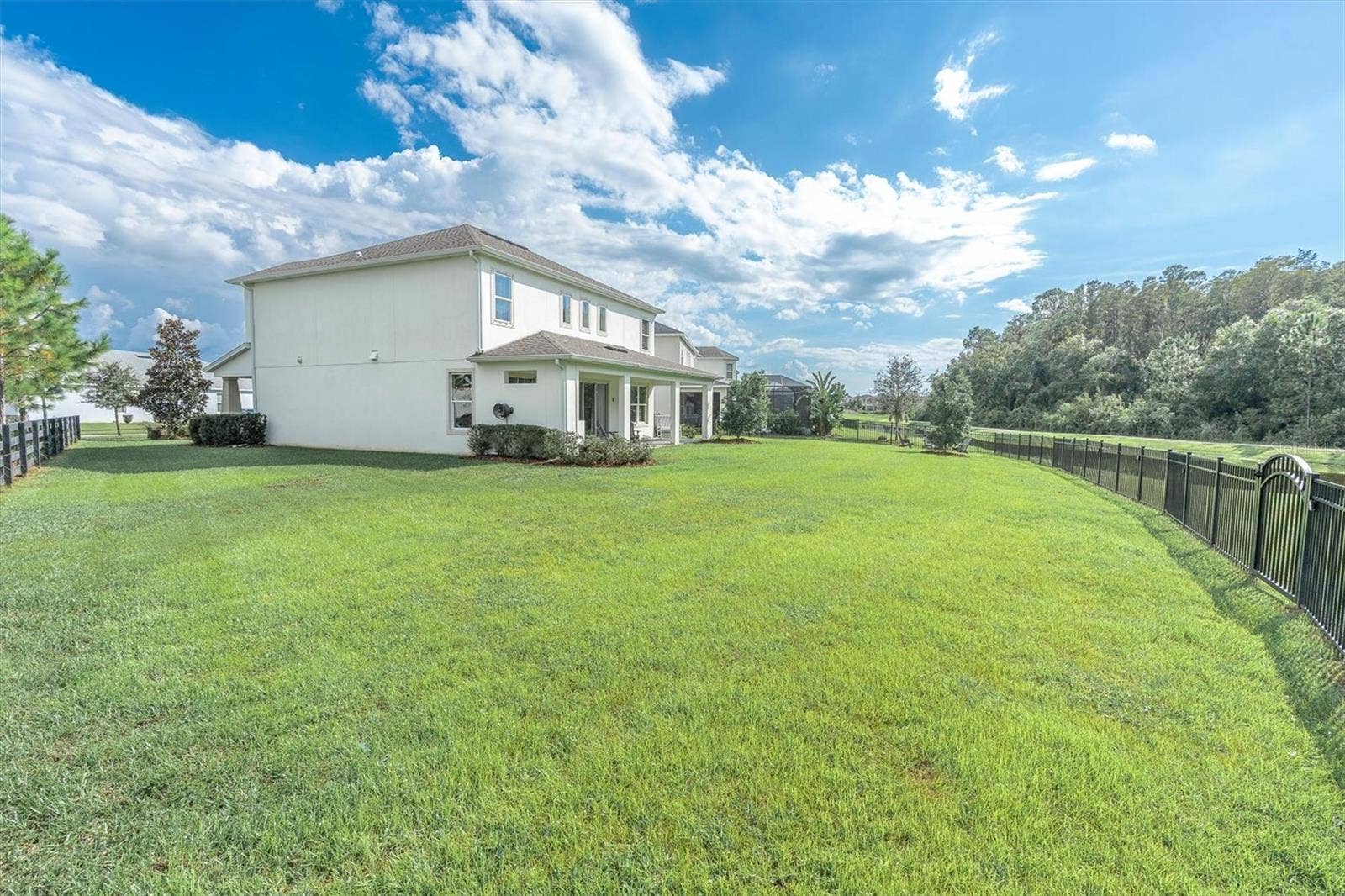 Fully Fenced Lawn Backyard