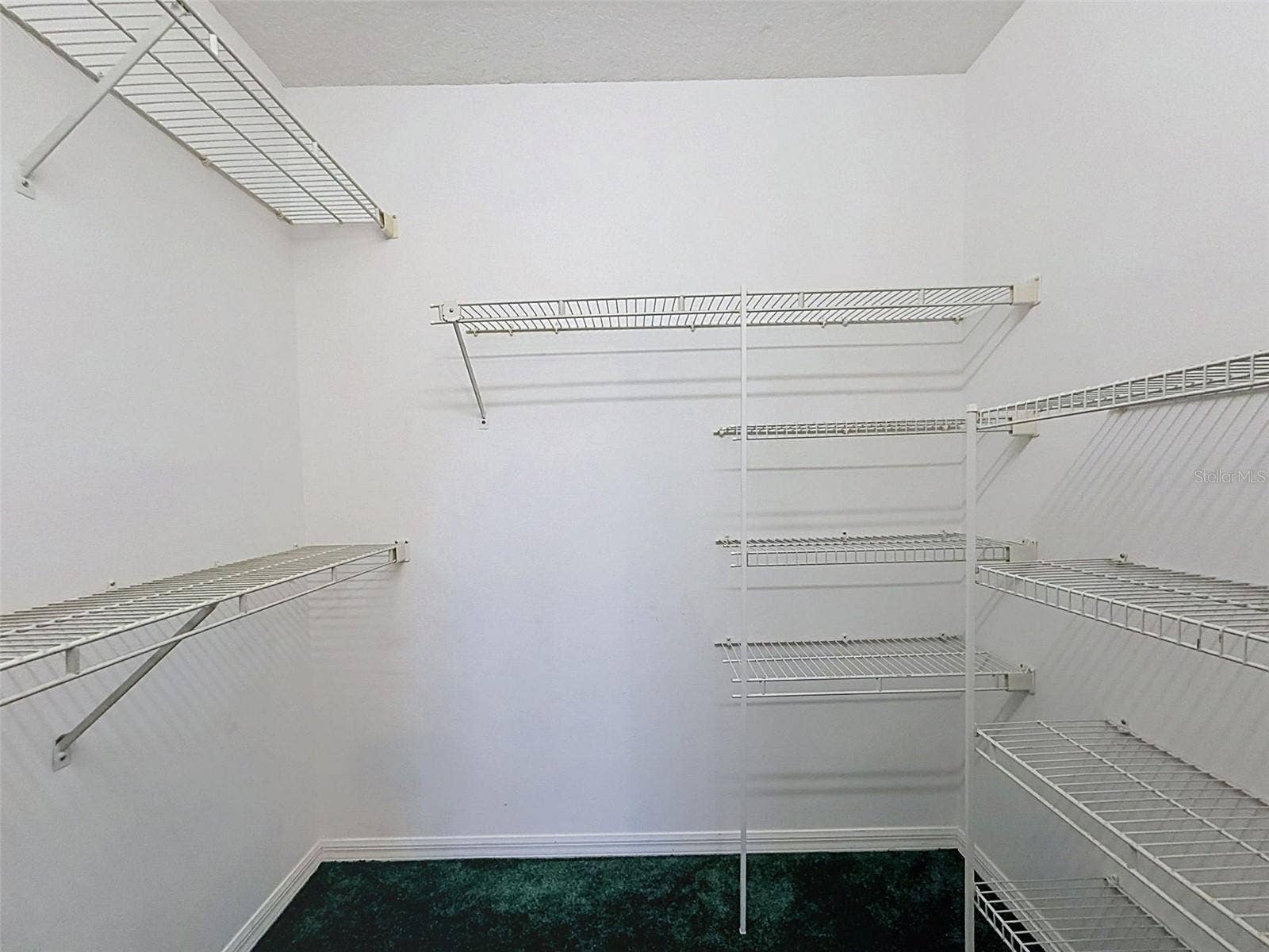 10074 SLEEPY WILLOW COURT, Spring Hill, FL 34608 WIC in one of the guest bedrooms.