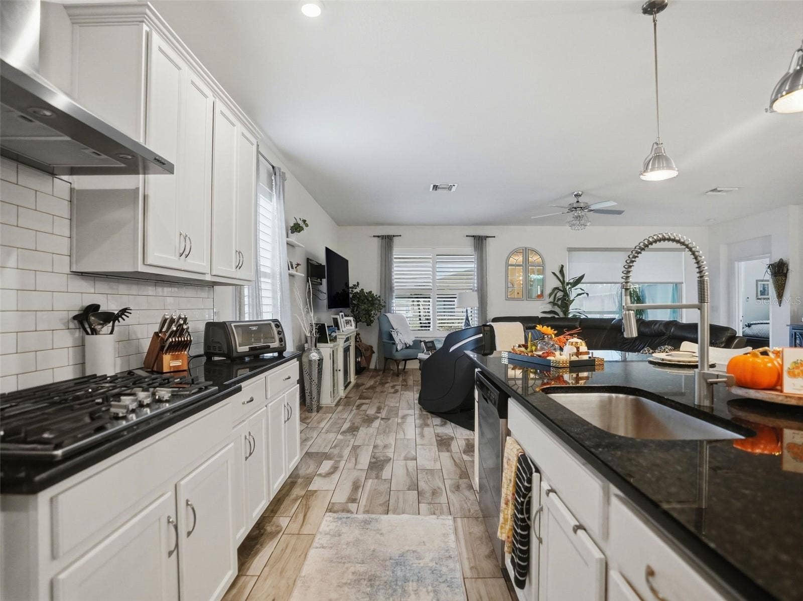 19458 FORT KING RUN, Brooksville, FL 34601 19458 FORT KING RUN, Brooksville, FL 34601