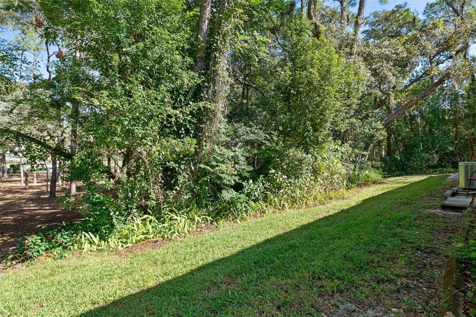 6466 NATURE PRESERVE LANE, Spring Hill, FL 34606