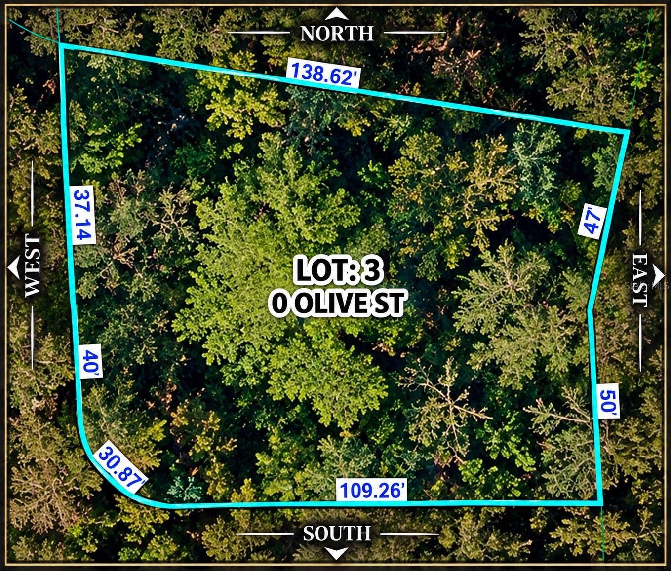 0 OLIVE STREET, Brooksville, FL 34601 0 OLIVE STREET, Brooksville, FL 34601