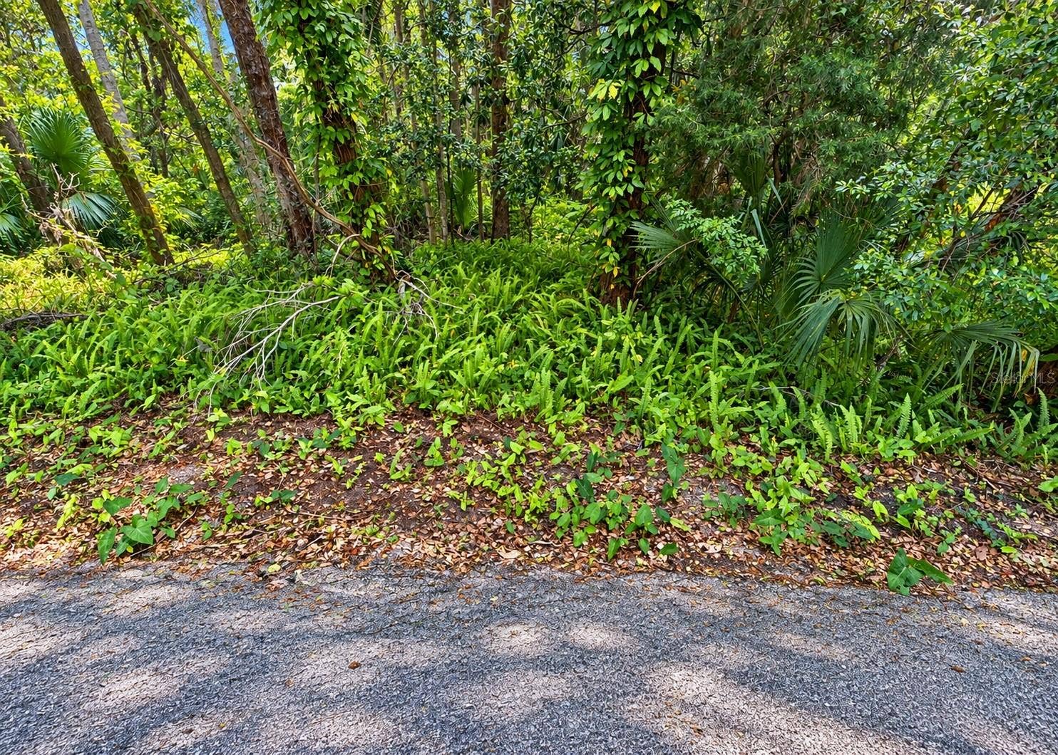 0 OLIVE STREET, Brooksville, FL 34601 Lot number three