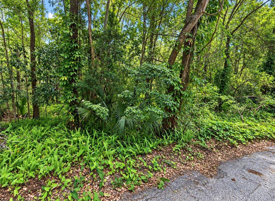 Property photo for 0 OLIVE STREET, Brooksville, FL