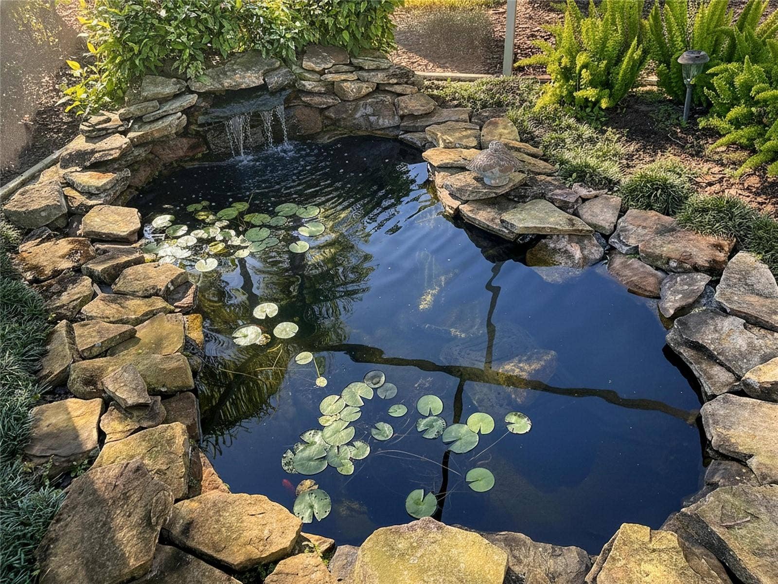 12116 BROADGREEN PLACE, Trinity, FL 34655 Gold fish love the cascading water